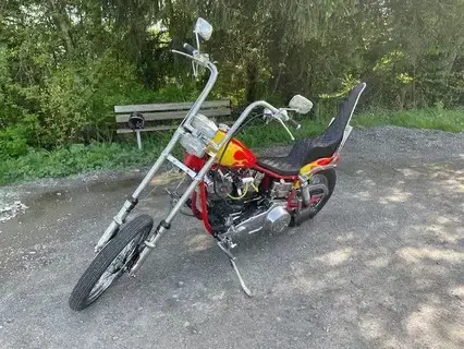 Harley Davidson Shavel Head