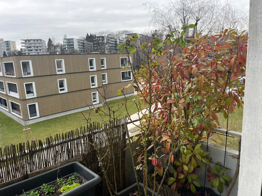 Bregenz - Wohnung zu vermieten ohne Makler