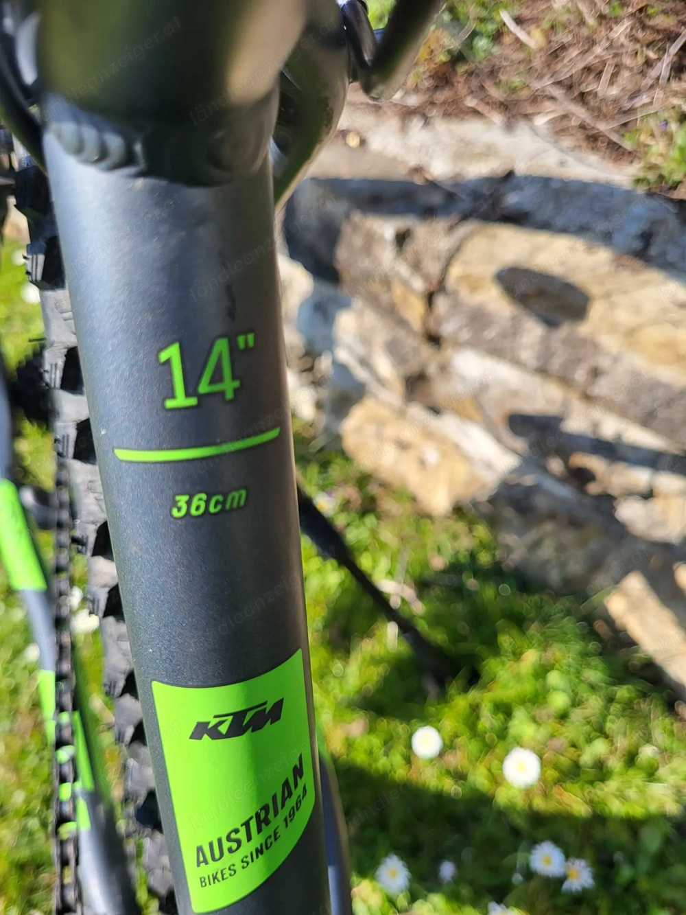 Kindefahrrad von KTM