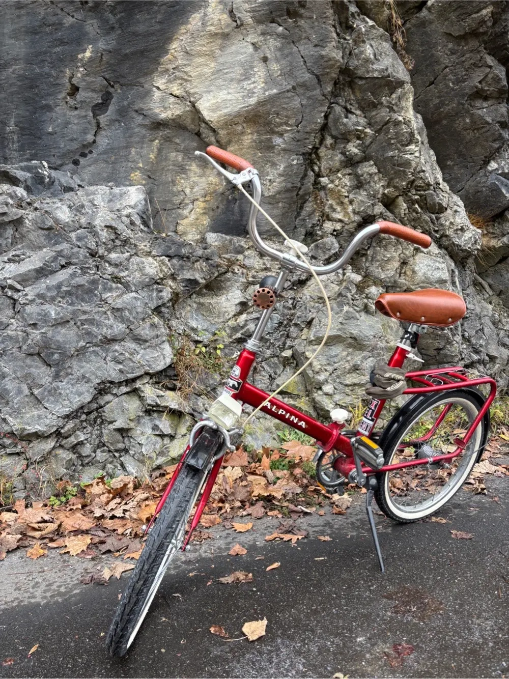Klapprad Alpina Luxus Sport