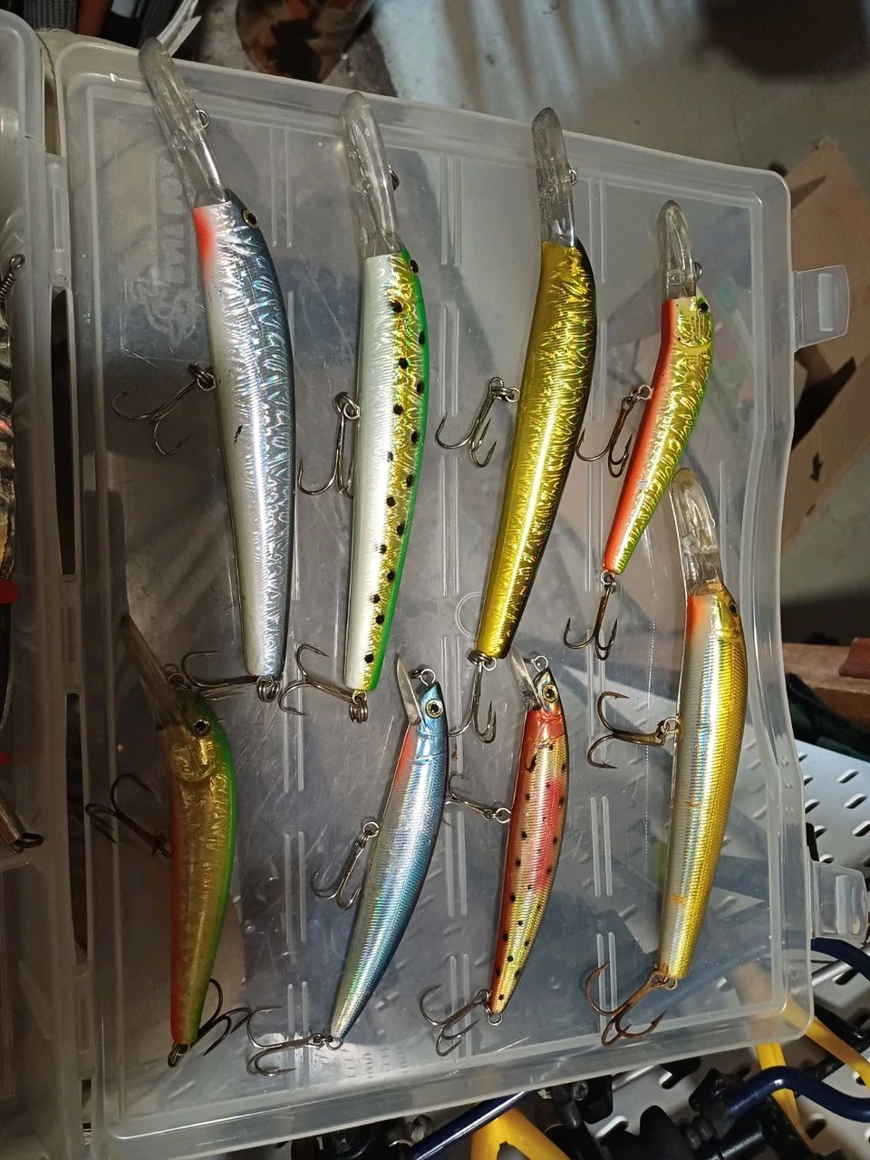 Rapala und Gummifsche 