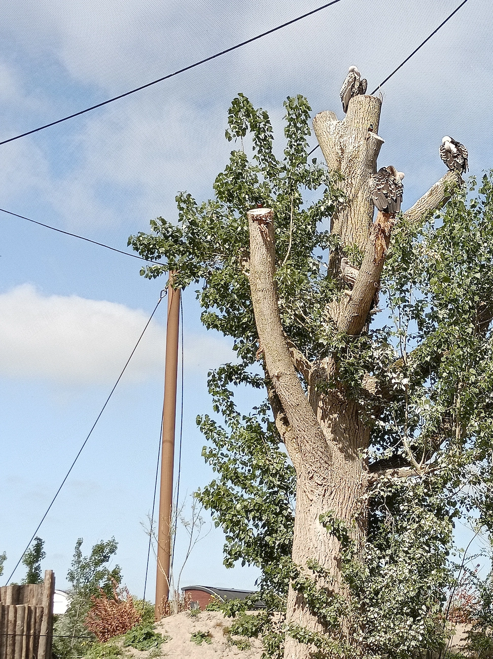 Pentax Fotoausrüstung komplett 