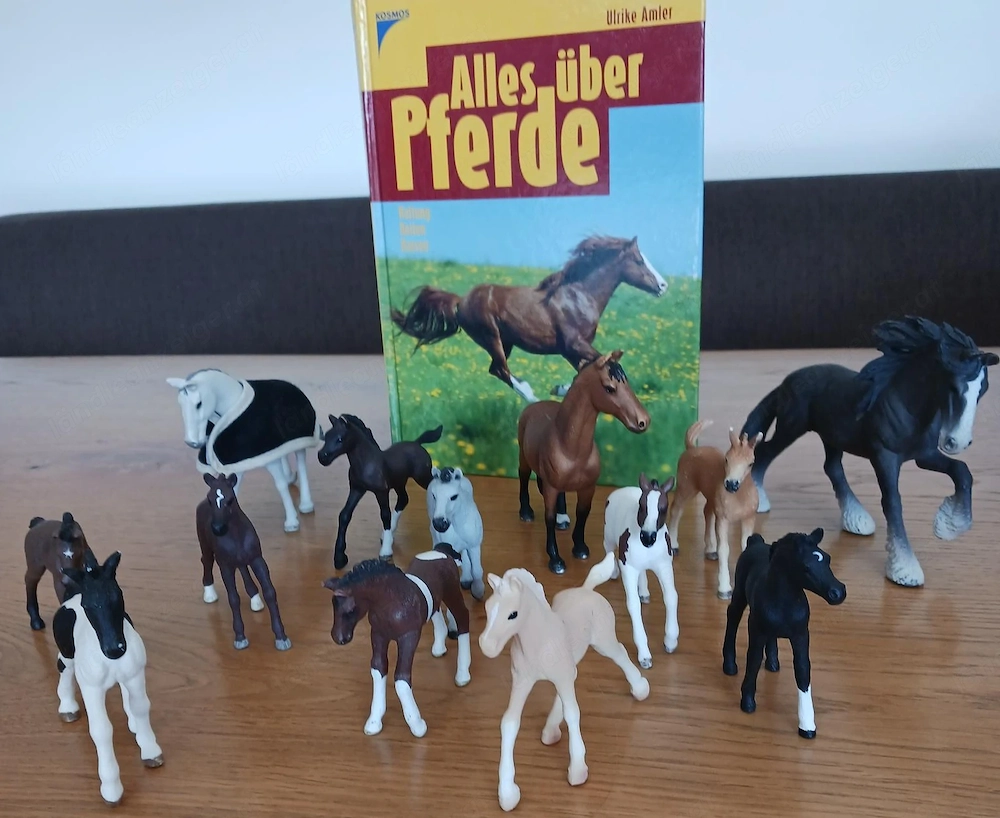 Schleichtiere mit Buch