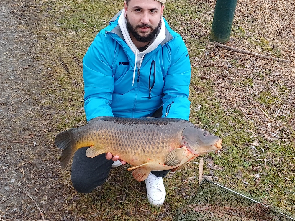 Walnüsse Lockfutter zum Angeln oder Kuchen Backen