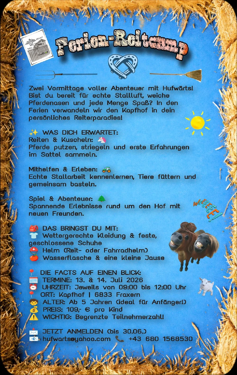 Sommerfernien Reitcamp