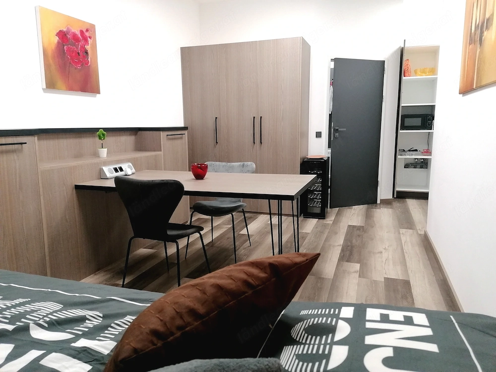 Homeoffice-Apartment-Kurzzeitmiete ,all incl., Dornbirn, neu möbliert, incl WLAN, Miniküche mit KS