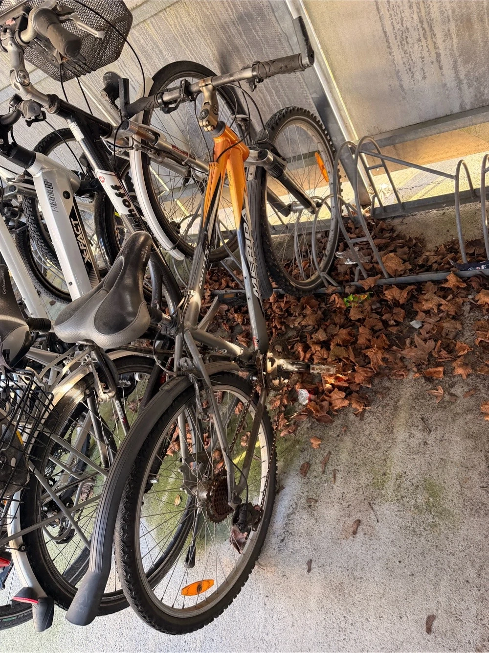 fahrrad 26 zoll