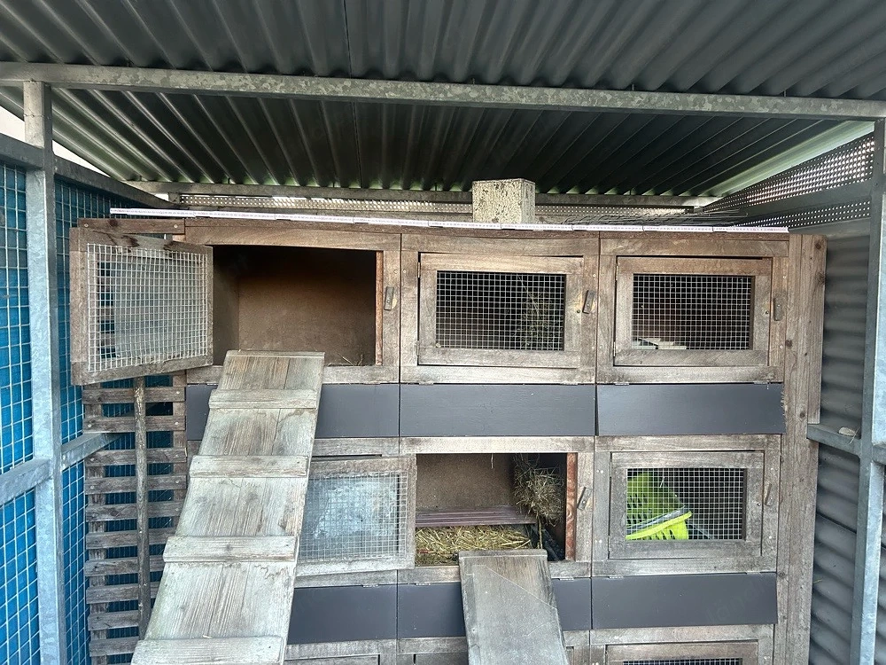 Hasenstall mit 9 Boxen