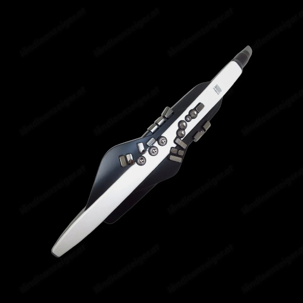 Digitales Blasinstrument 