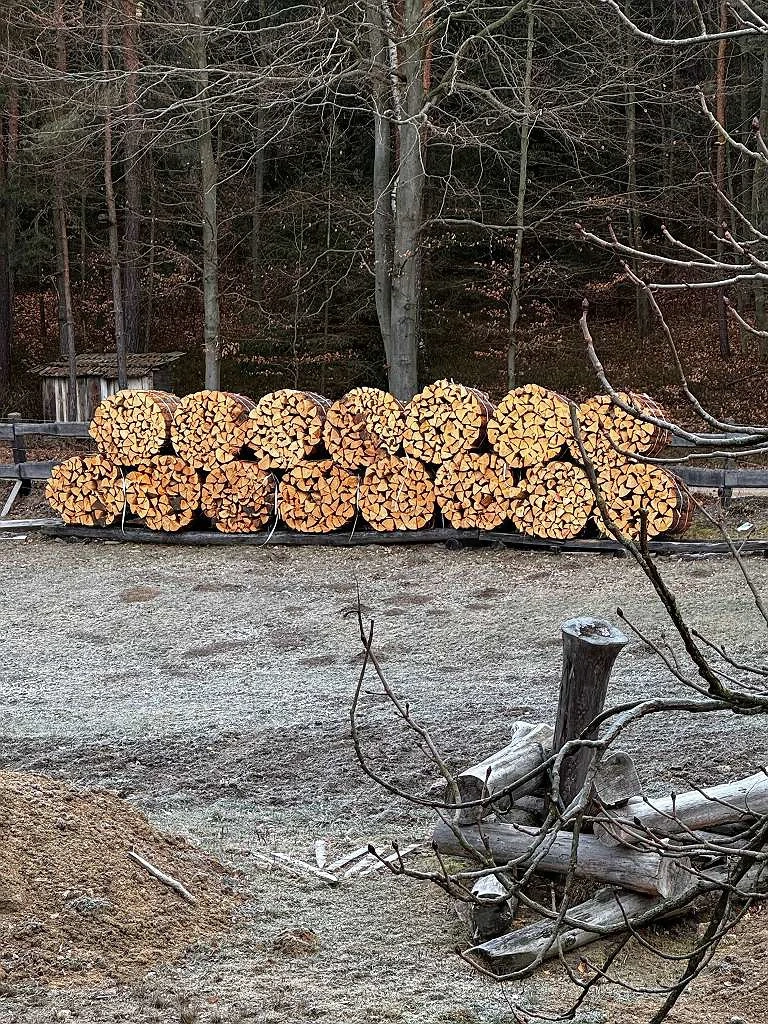 Brennholz Hart und Weich