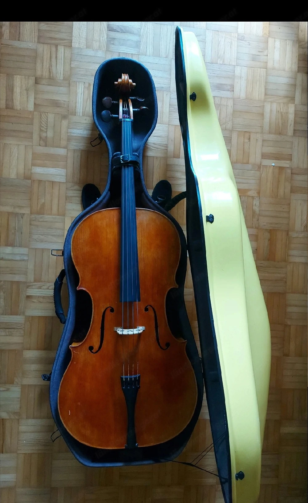 Cello Violoncello