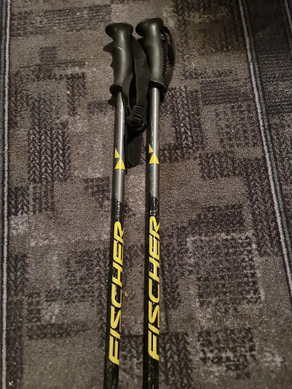 Schistöcke von Fischer