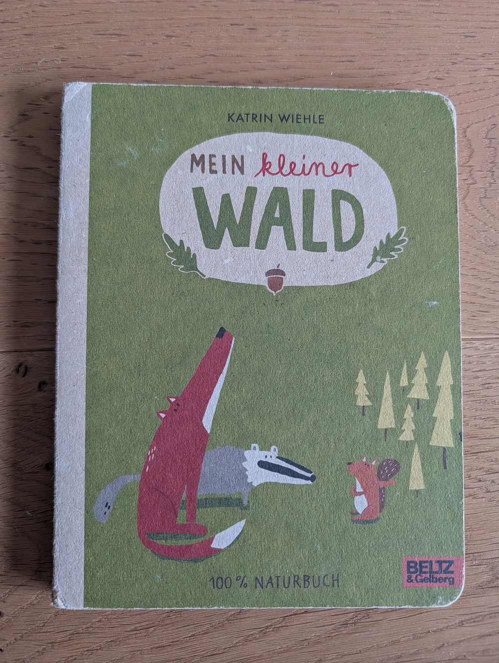 Kinderbuch mein kleiner Wald