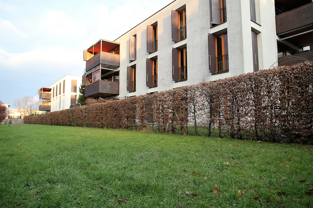 Attraktive geräumige 2-Zimmer-Wohnung