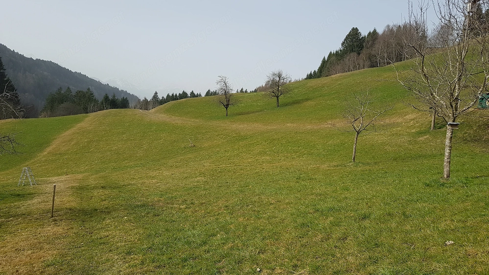 PACHT - Landwirtschaftliche Fläche St. Gerold