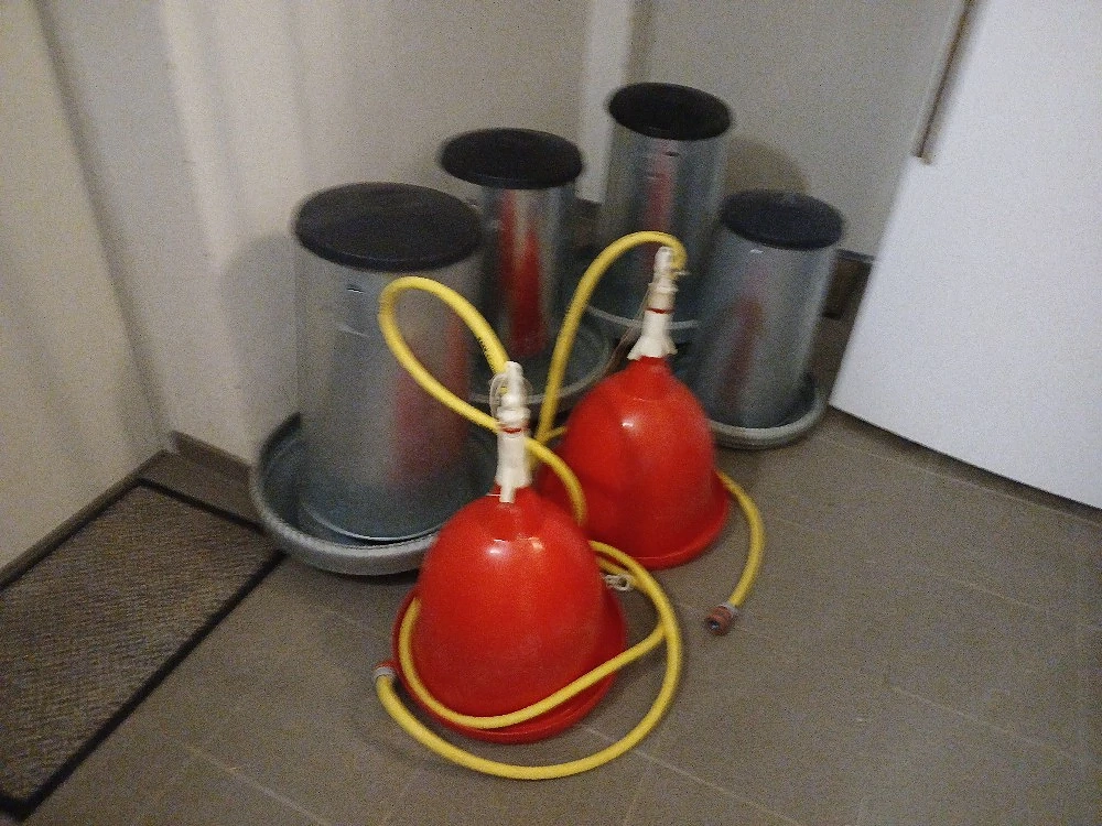 4 Stück gebrauchte Geflügelfutterautomaten und 2 Sück Wasserspender