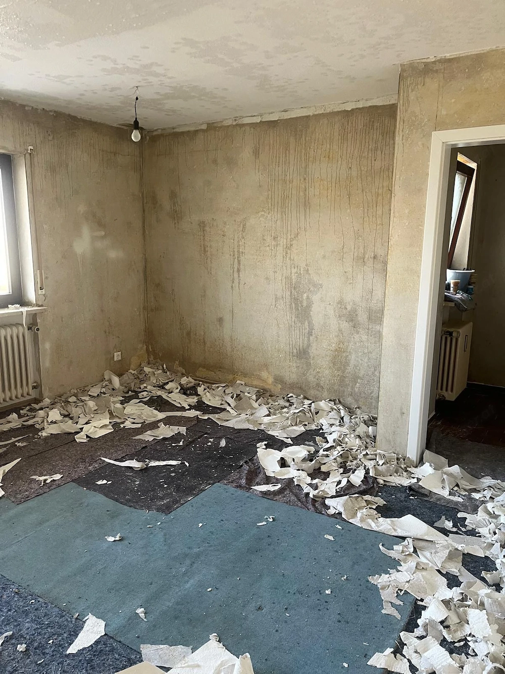 Professionelle Malerarbeiten