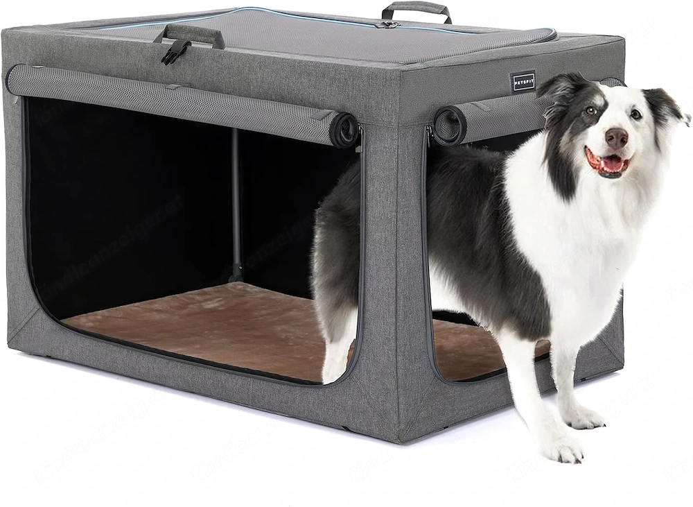 Hundebox für mittlere und große Hunde