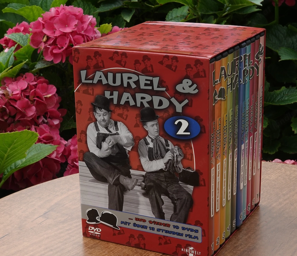 Laurel & Hardy (Dick & Doof) Box 2, 10 DVD s 