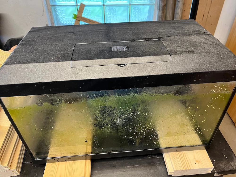 Aquarium 50 Lt. für Einsteiger