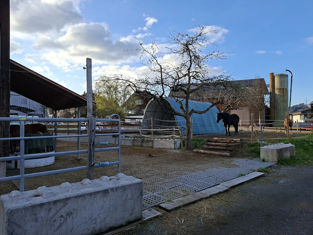 Einstellplatz in Offenstall