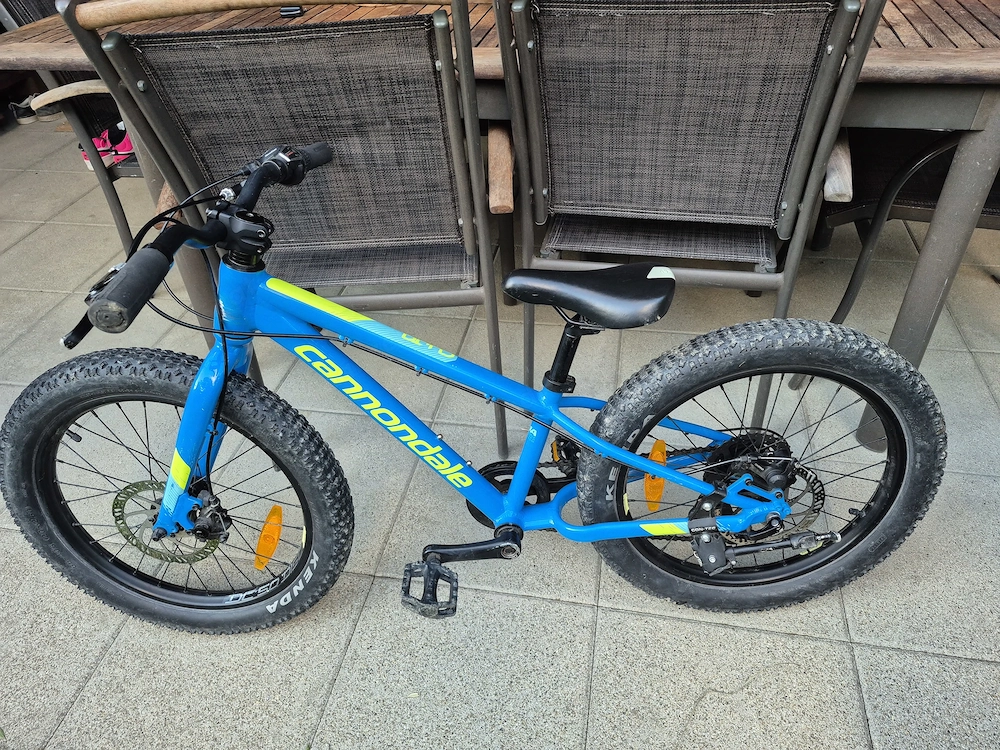 Kinderfahrrad 20 Zoll