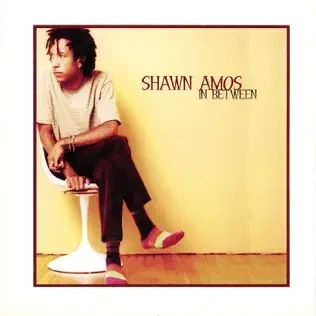 Shawn Amos, CD's, Raritäten, TOPZUSTAND