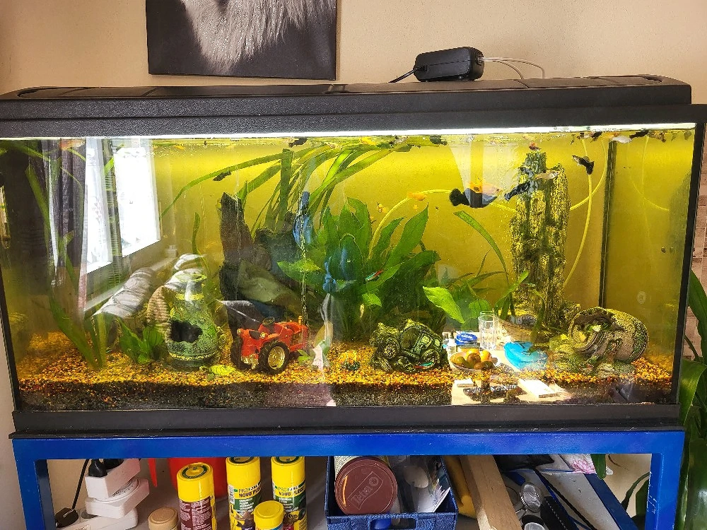 Aquarium 180-200l