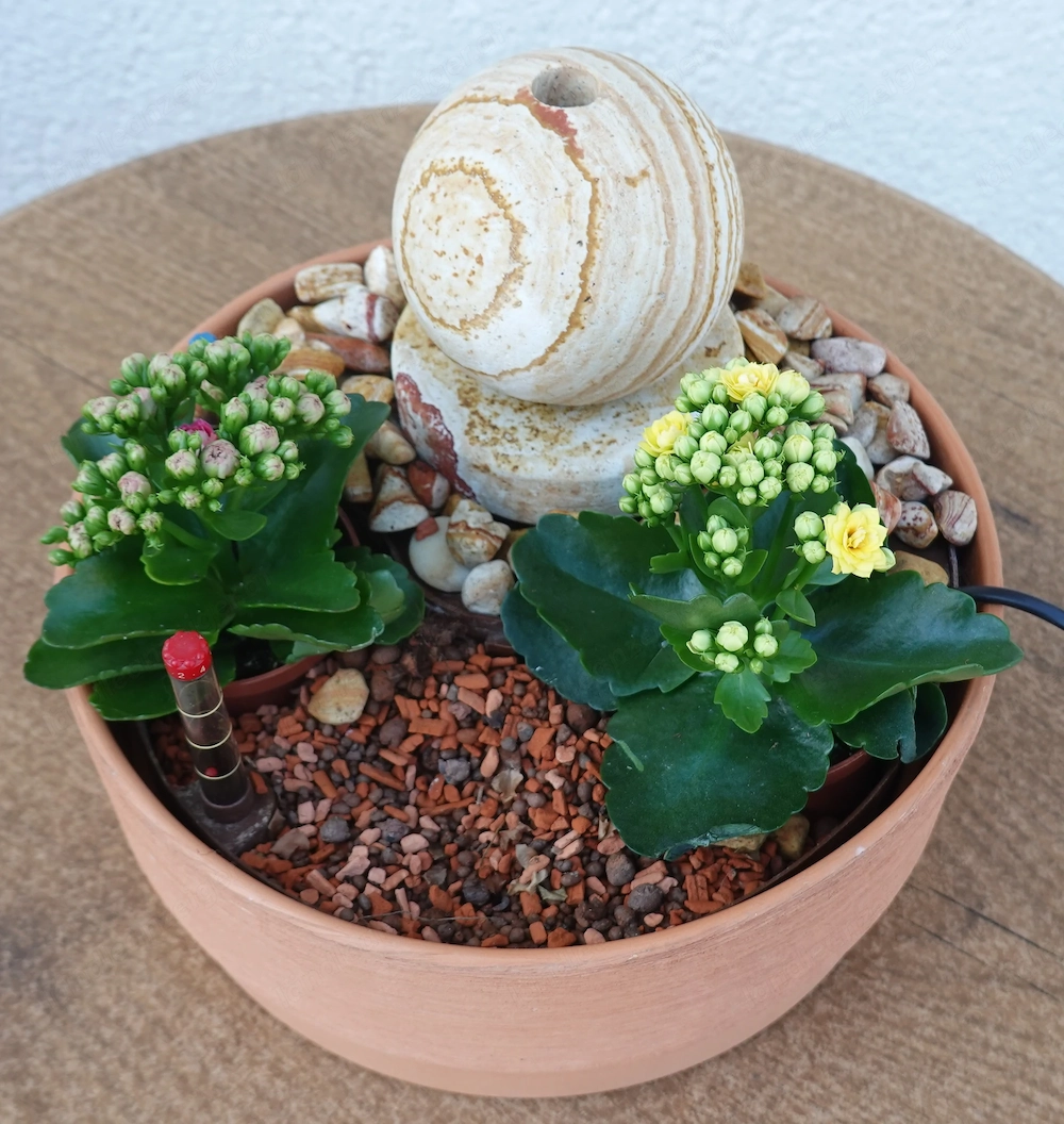 Zimmerbrunnen mit höheneinstellbarer, neuer Pumpe (siehe Rechnung).