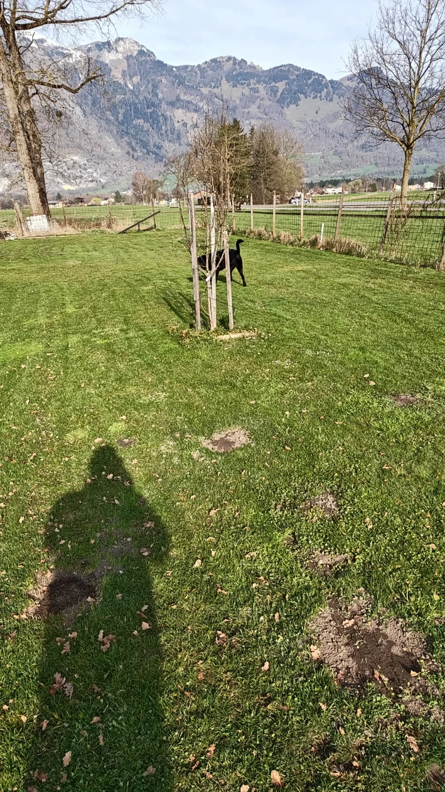 Landwirtschaftlicher Grund in Nofels   Bangs