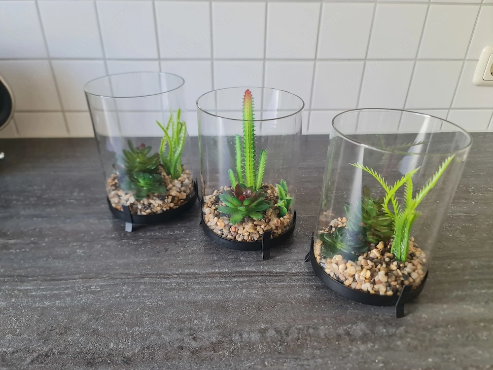 Deko - Kunstpflanzen 