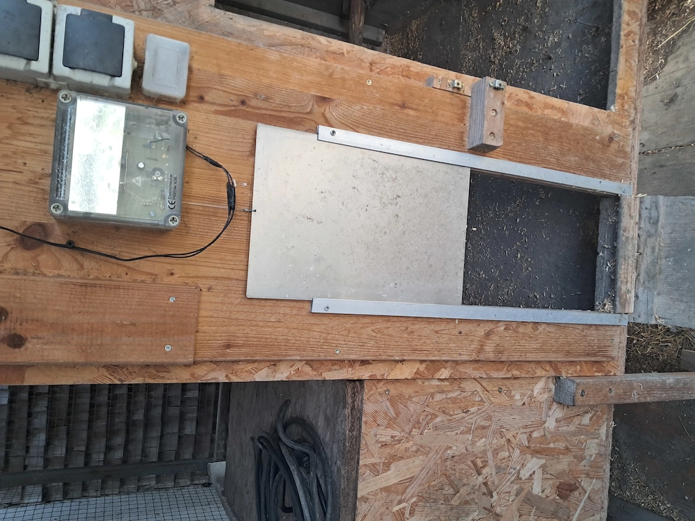 AXT Elektrische Hühnenklappe