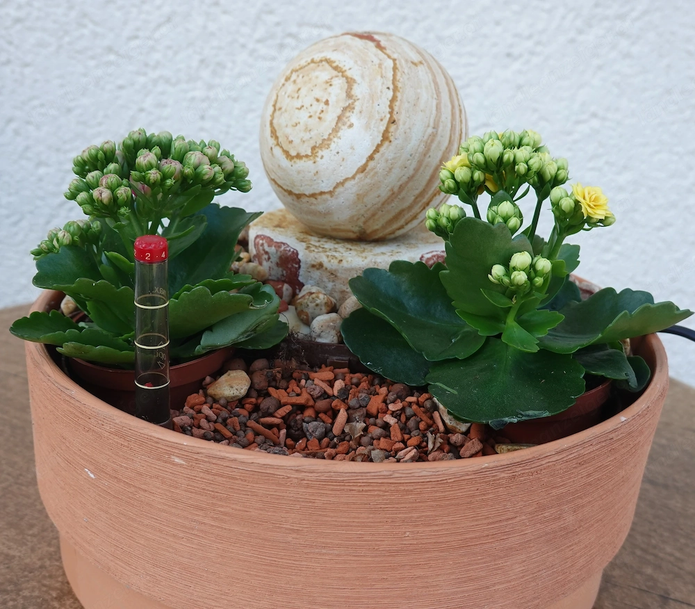  Zimmerbrunnen mit höheneinstellbarer, neuer Pumpe (siehe Rechnung).