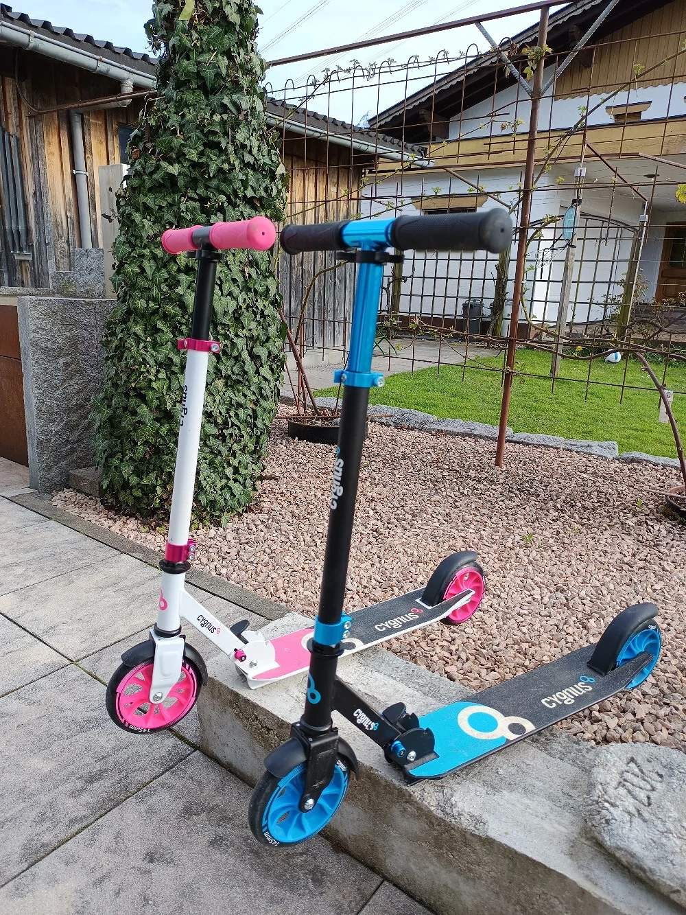 Scooter Cygnus