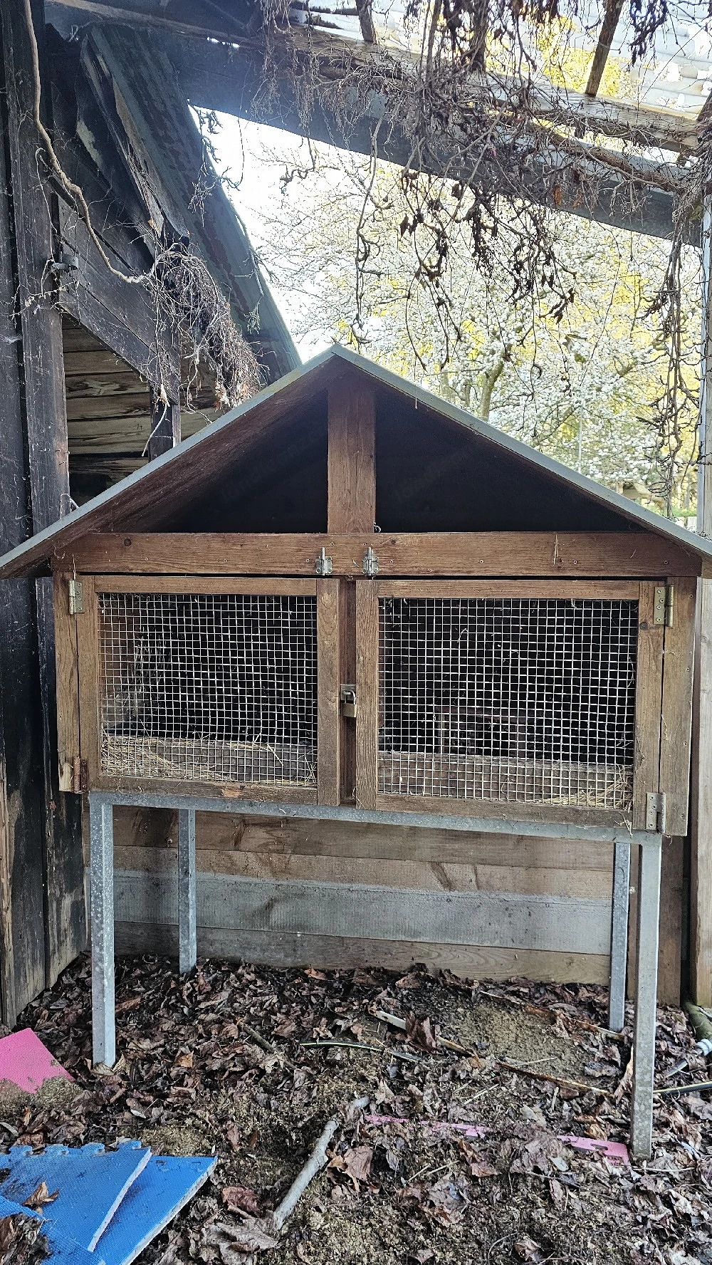 Hasenstall, Meerschweinchenstall, Kaninchenstall, Rattenstall, Kleintierstall