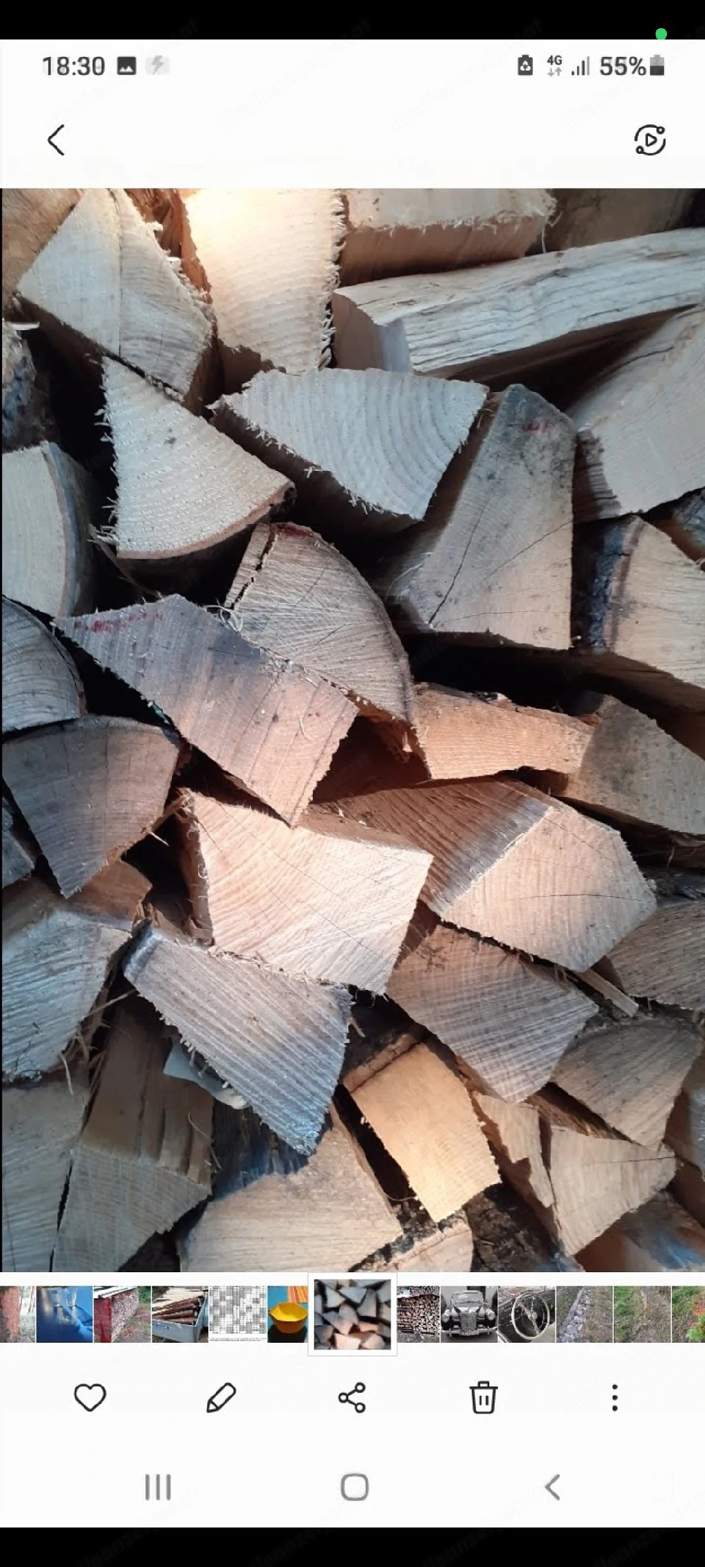Brennholz hart 