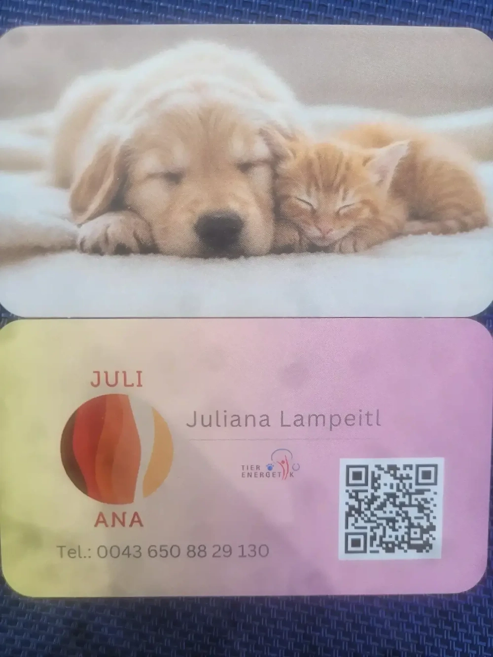 Energetische Arbeit für dein Tier