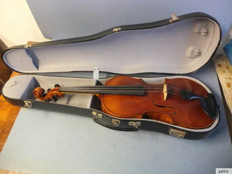 Ältere Viole Innen Signiert