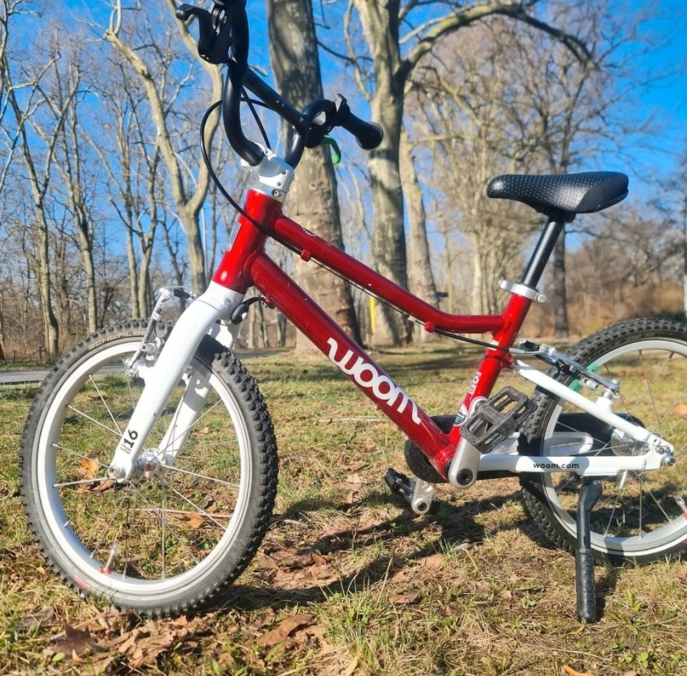 Woom 3 Anniversary Edition