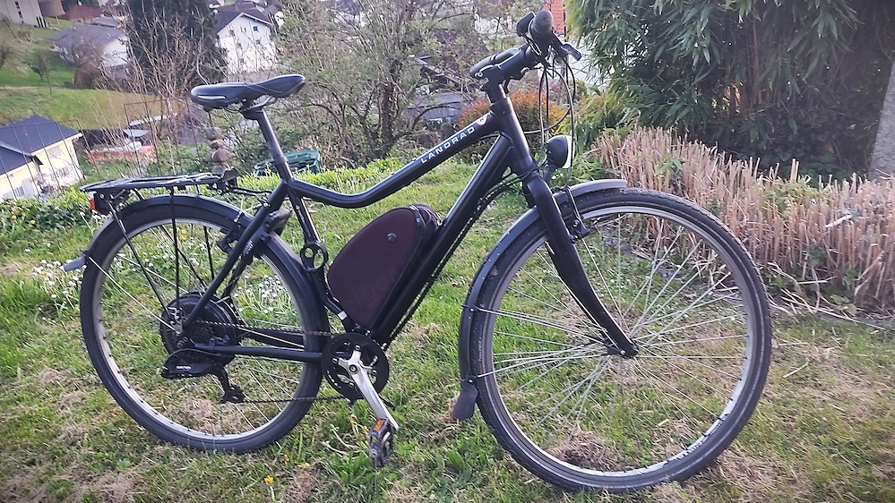 E-Bike für Bastler