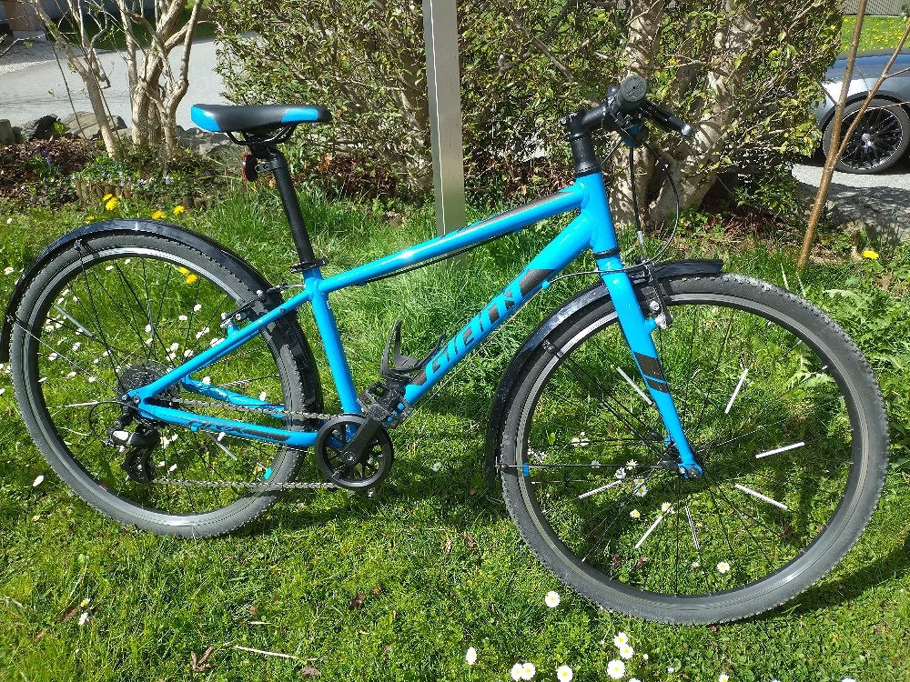 Kinder Jugendrad Giant ARX 26 