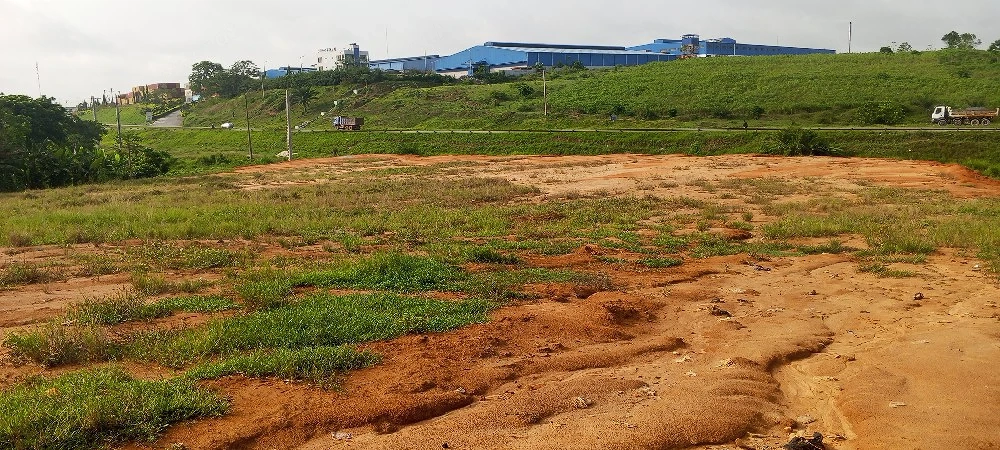 Immobiliendienstleistungen 