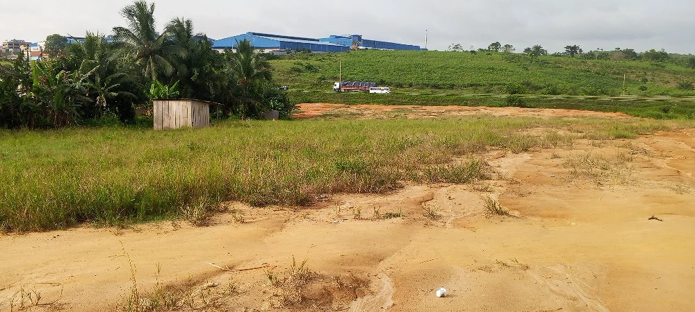 Immobiliendienstleistungen 