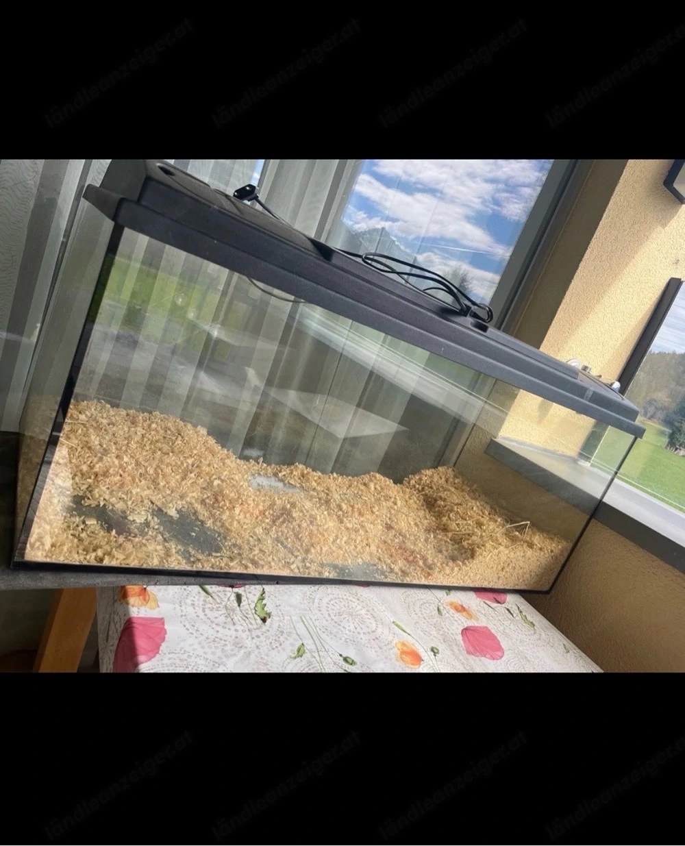 Hamstergehege Aquarium