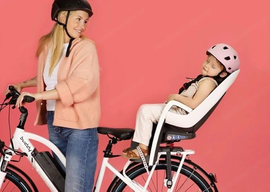 Hamax Fahrradkindersitz