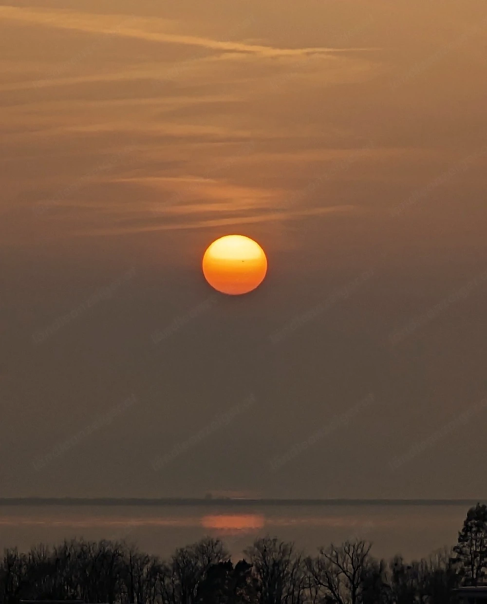 WG-Mitbewohnerin gesucht