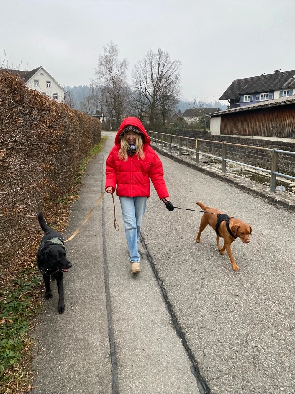 Gassi Service Raum Schwarzach 