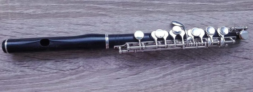 Johannes Gerhard Hammig 750 3 Piccolo flute