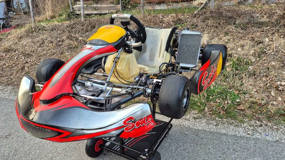 Sodi Rotax DD2 Rennkart