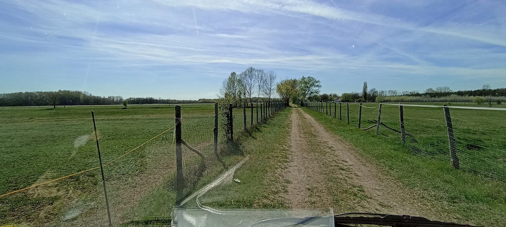 Offenstall- & Weideplätze   Ruhiger Senioren Pferdehof in Südungarn 